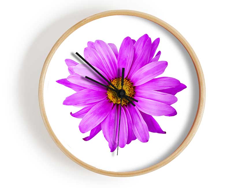 Pink Daisy On White Clock - Wallart-Direct UK