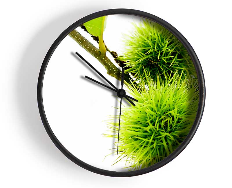 Green Pom poms Clock - Wallart-Direct UK