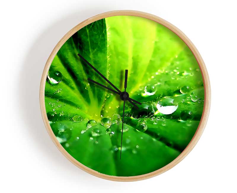 Sunlit Leaf Droplets Clock - Wallart-Direct UK