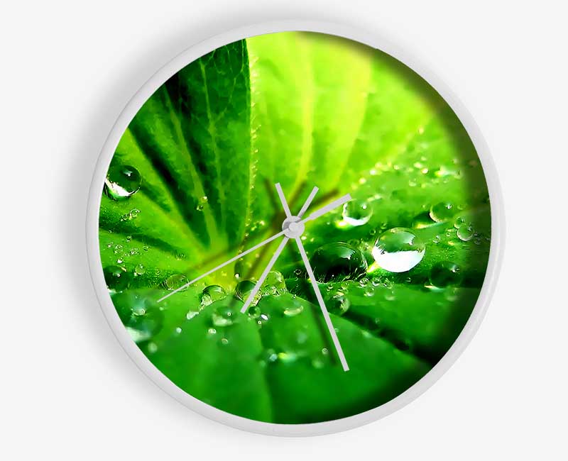 Sunlit Leaf Droplets Clock - Wallart-Direct UK