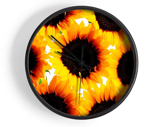 Sunflower Galore Clock - Wallart-Direct UK