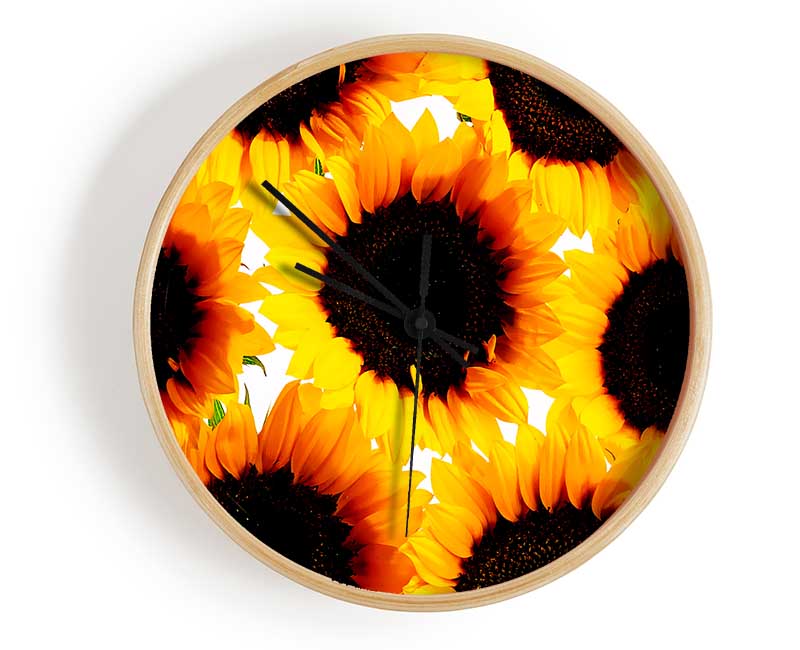 Sunflower Galore Clock - Wallart-Direct UK