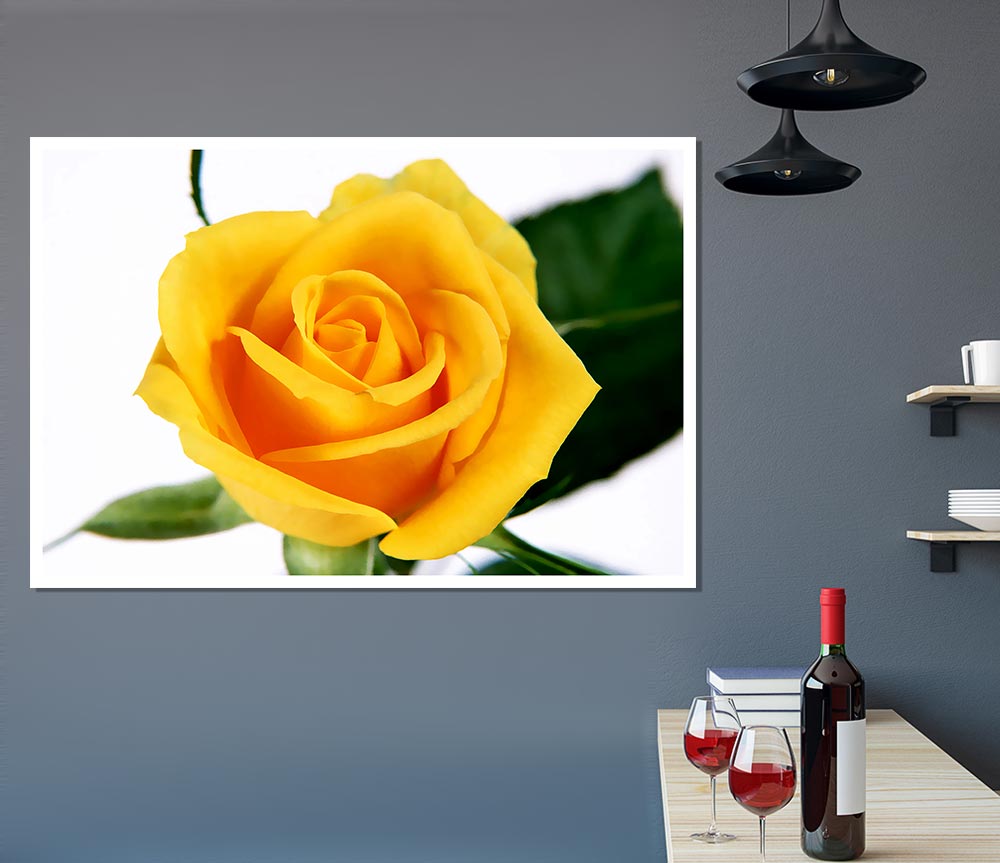 Yellow Rose Print Poster Wall Art