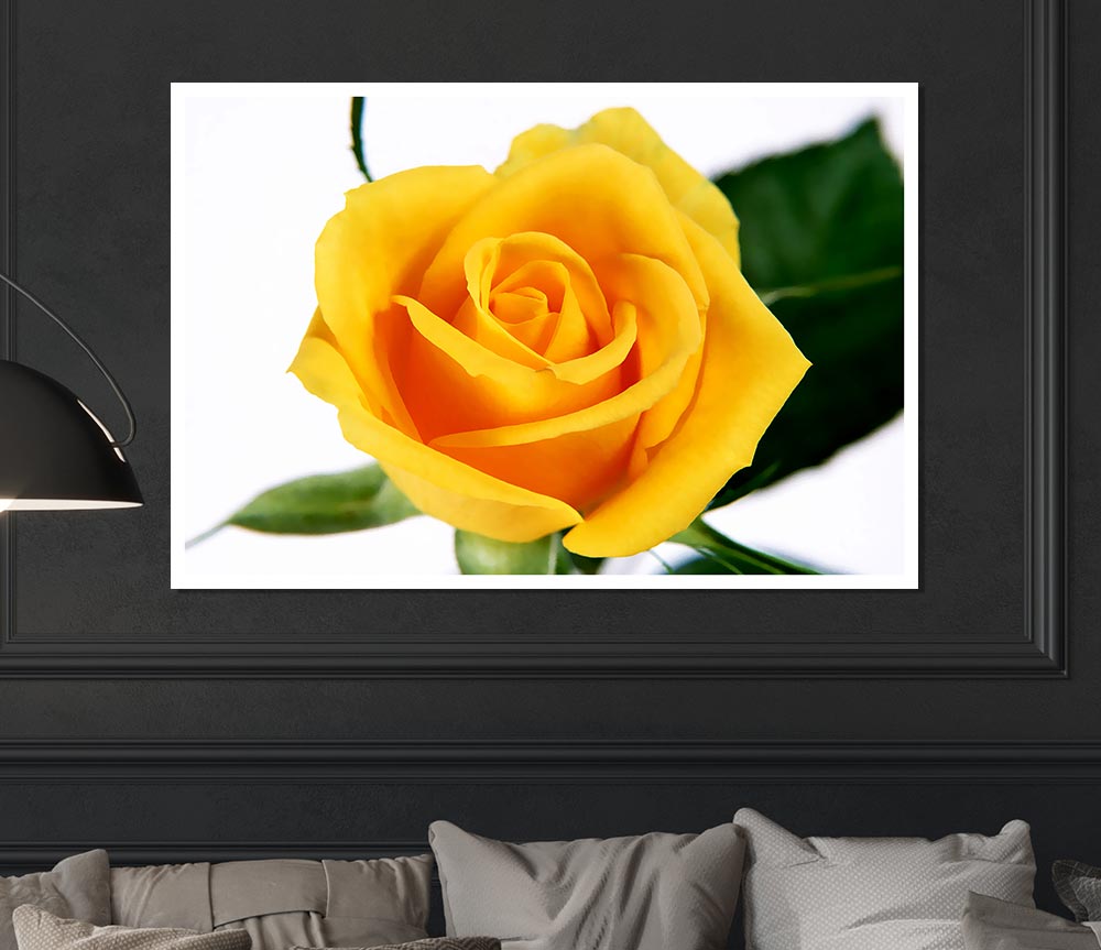 Yellow Rose Print Poster Wall Art