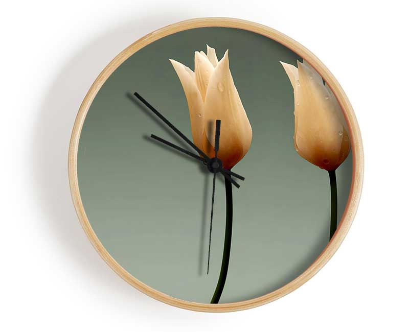 Stunning Cream Tulips Clock - Wallart-Direct UK