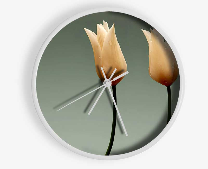 Stunning Cream Tulips Clock - Wallart-Direct UK