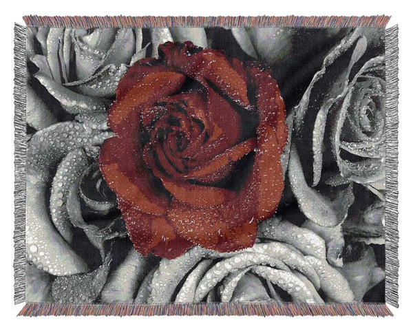 Red Rose On A Sea Of B n W Woven Blanket