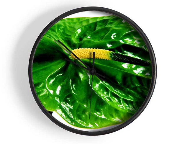 Anthurium Flower Clock - Wallart-Direct UK