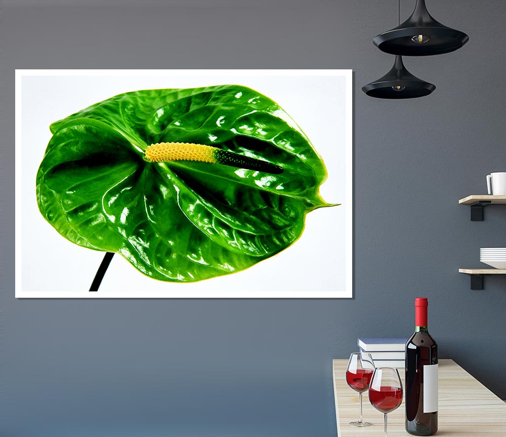 Anthurium Flower Print Poster Wall Art