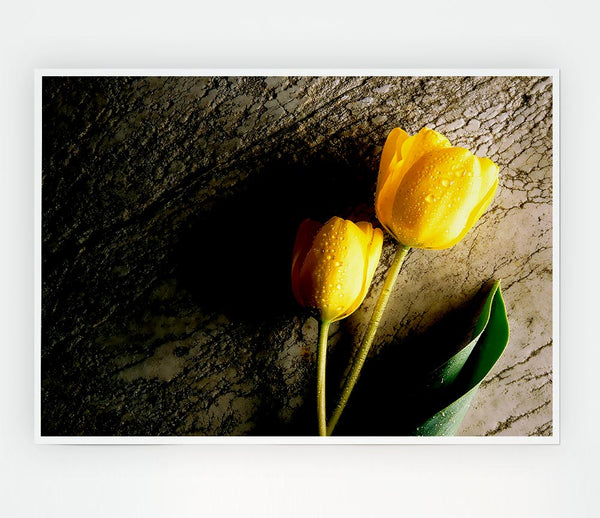 Yellow Tulip Duo Print Poster Wall Art