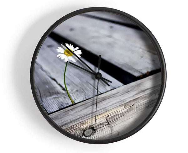 Single Daisy Deck Clock - Wallart-Direct UK