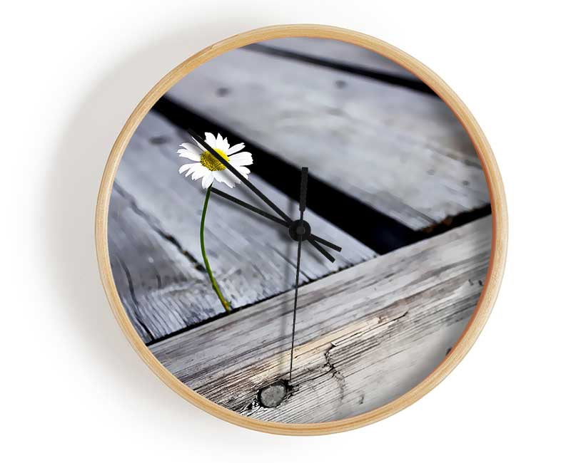 Single Daisy Deck Clock - Wallart-Direct UK