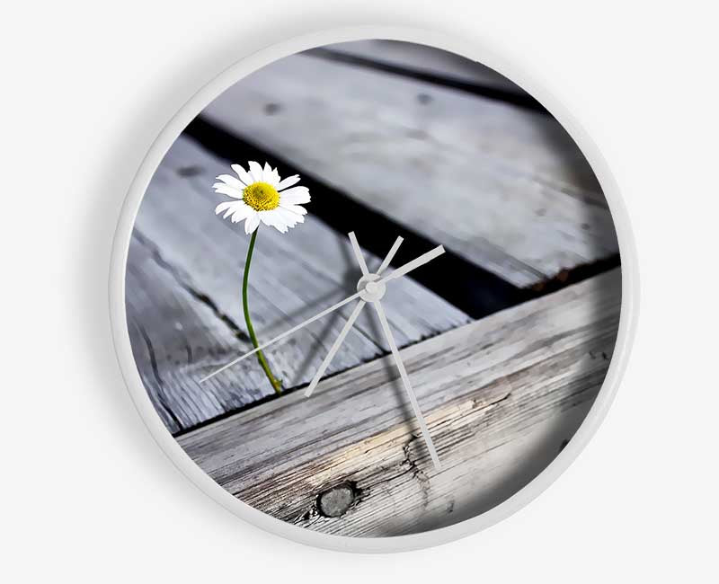 Single Daisy Deck Clock - Wallart-Direct UK