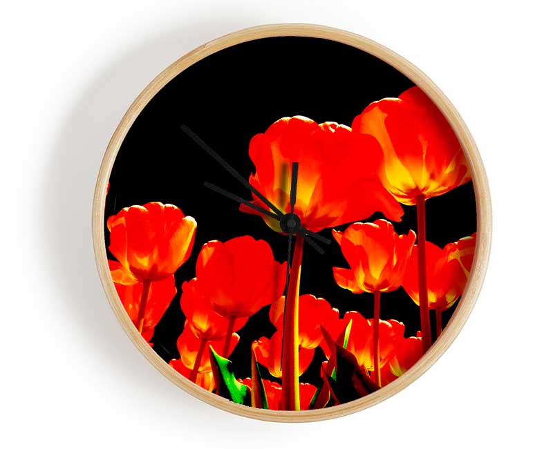 Orange Tulips Black Skies Clock - Wallart-Direct UK