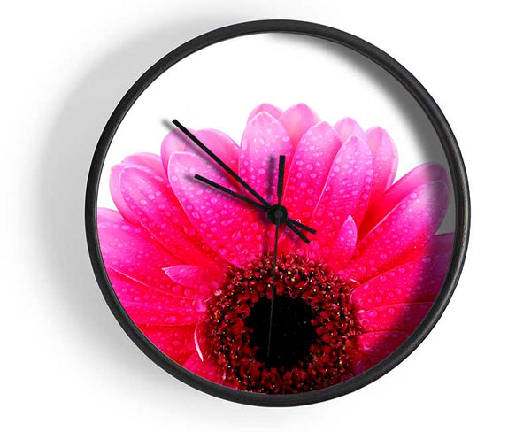 Pink Petal Dew Drop Gerbera Clock - Wallart-Direct UK