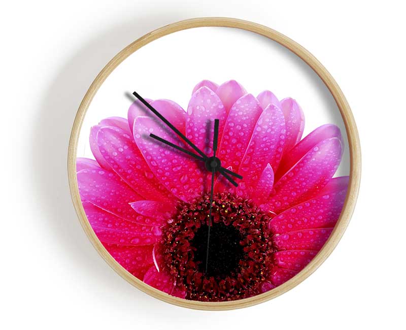 Pink Petal Dew Drop Gerbera Clock - Wallart-Direct UK