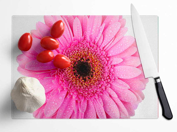 Baby Pink Dew Drop Gerbera Glass Chopping Board