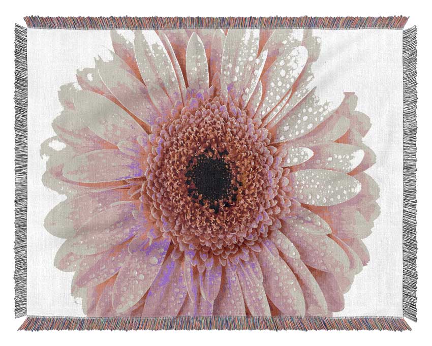 Baby Pink Dew Drop Gerbera Woven Blanket