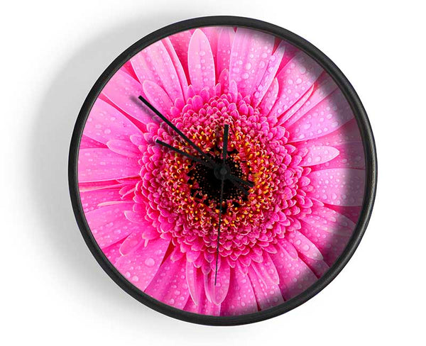 Baby Pink Dew Drop Gerbera Clock - Wallart-Direct UK