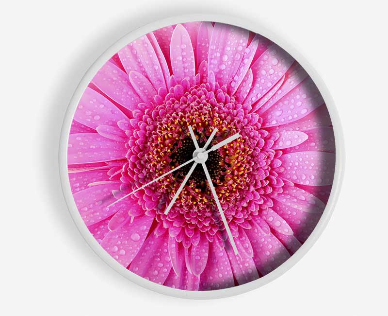 Baby Pink Dew Drop Gerbera Clock - Wallart-Direct UK