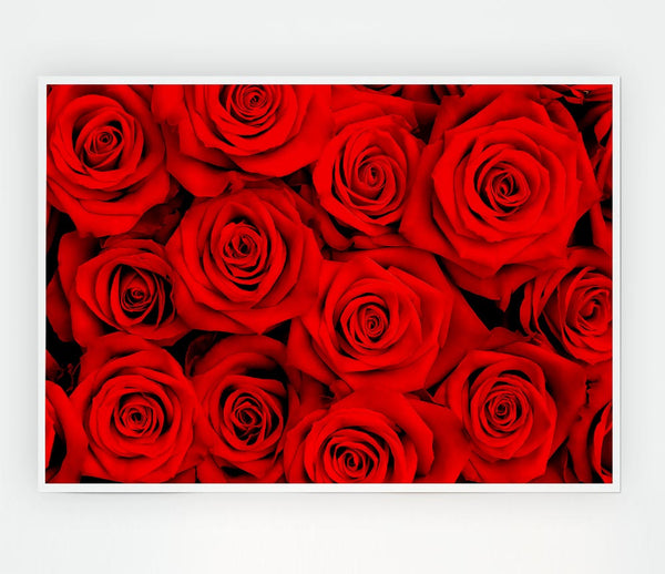 Lovely Roses For The One I Love Print Poster Wall Art