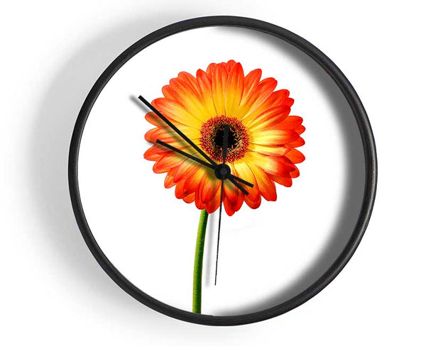 Orange Gerbera On White Clock - Wallart-Direct UK