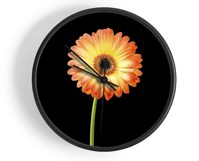 Orange Gerbera On Black Clock - Wallart-Direct UK