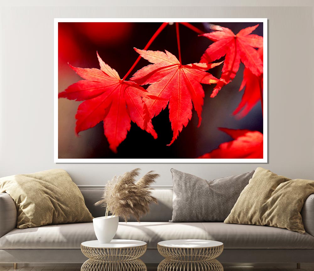 Winter Red Leaves Print Poster Wall Art