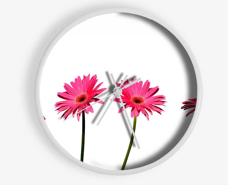 Pink Gerbera Quads Clock - Wallart-Direct UK