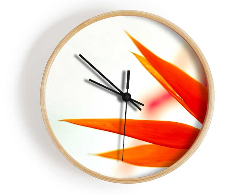 Orange Bird Of Paradise Clock - Wallart-Direct UK