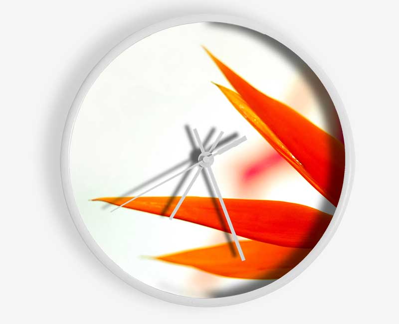 Orange Bird Of Paradise Clock - Wallart-Direct UK