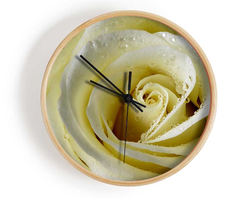 White Rose Petal Dew Clock - Wallart-Direct UK