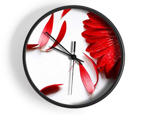 Red Gerbera Fallen Petals Clock - Wallart-Direct UK