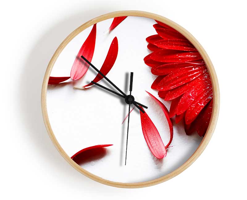 Red Gerbera Fallen Petals Clock - Wallart-Direct UK