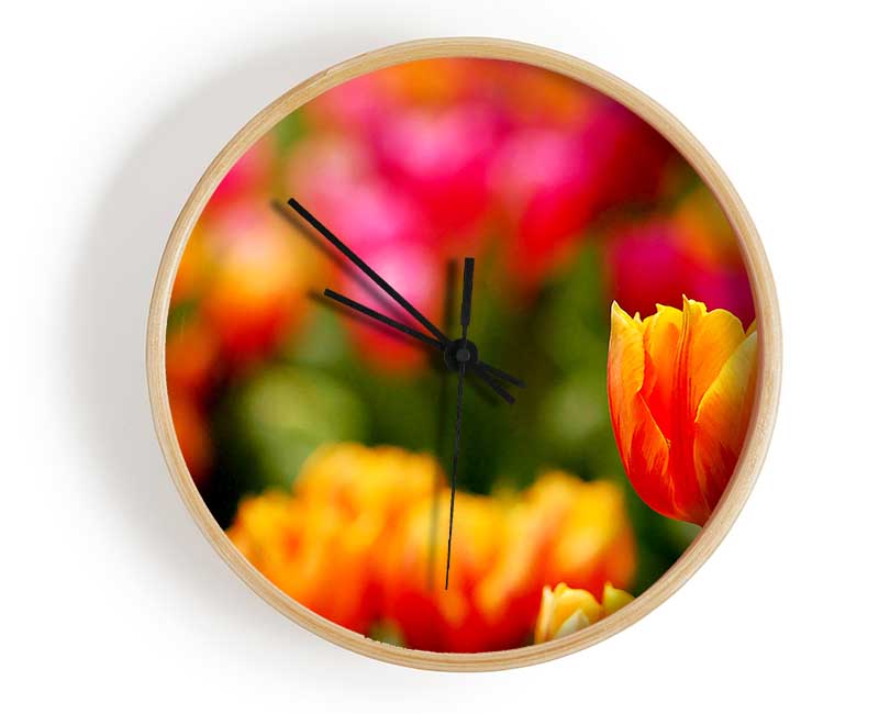 Orange Tulips In Bloom Clock - Wallart-Direct UK