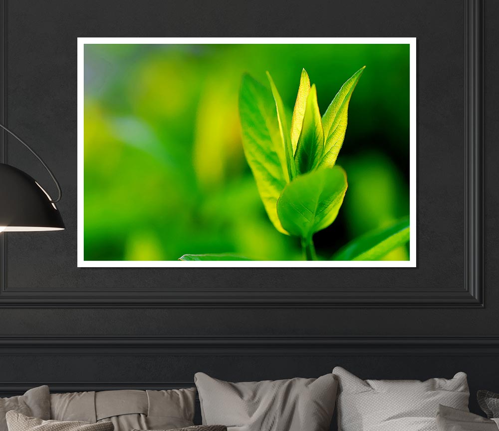 Green Leaf Flower Print Poster Wall Art