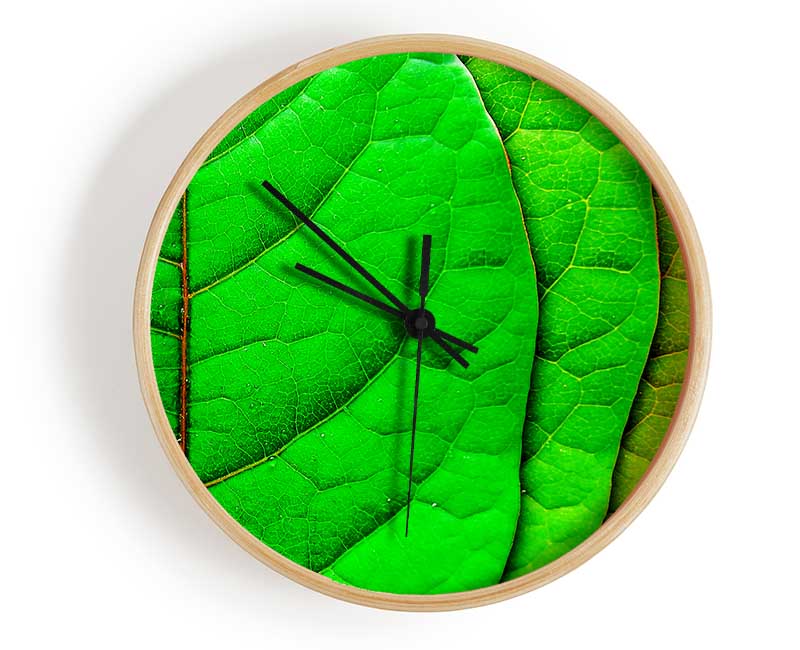 Colour Of Leaves Clock - Wallart-Direct UK