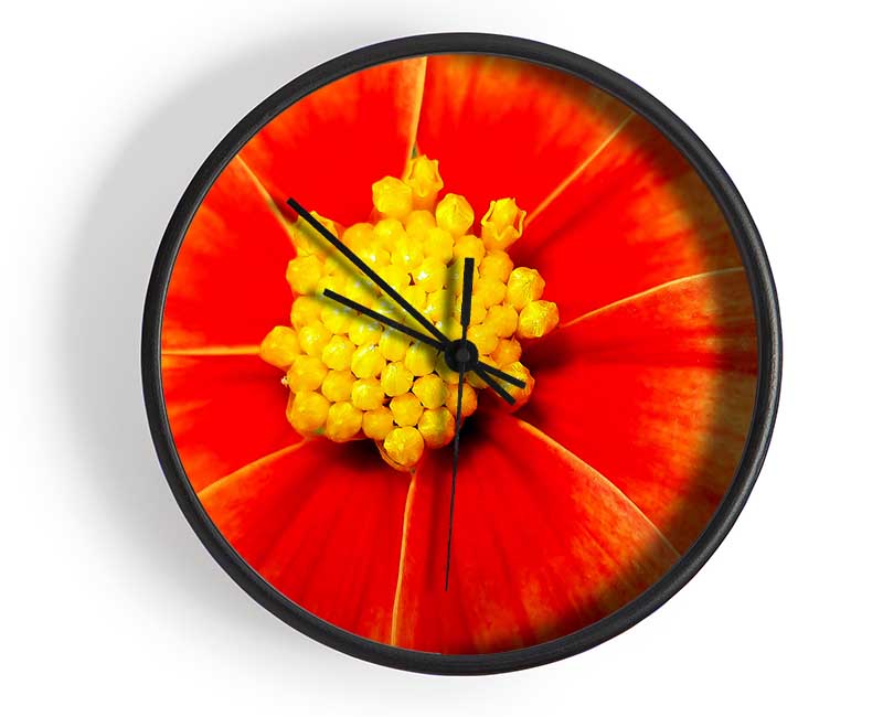 Orange Petal Delight Clock - Wallart-Direct UK