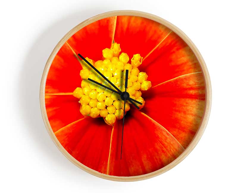 Orange Petal Delight Clock - Wallart-Direct UK