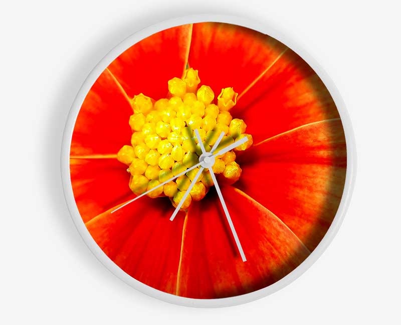 Orange Petal Delight Clock - Wallart-Direct UK