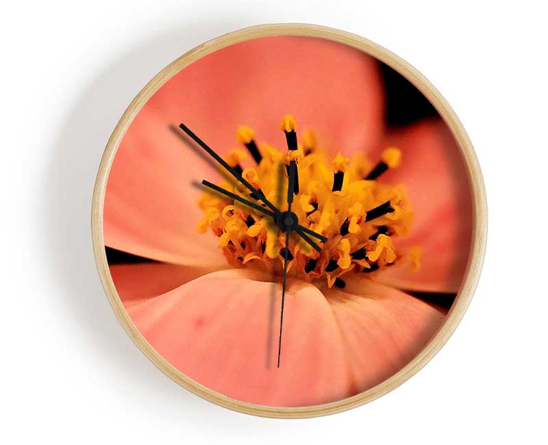 Orange Petal Beauty Clock - Wallart-Direct UK