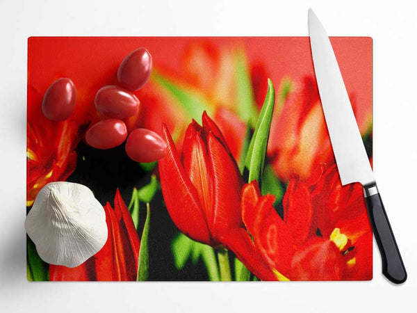 Tulips In Sunlight Glass Chopping Board