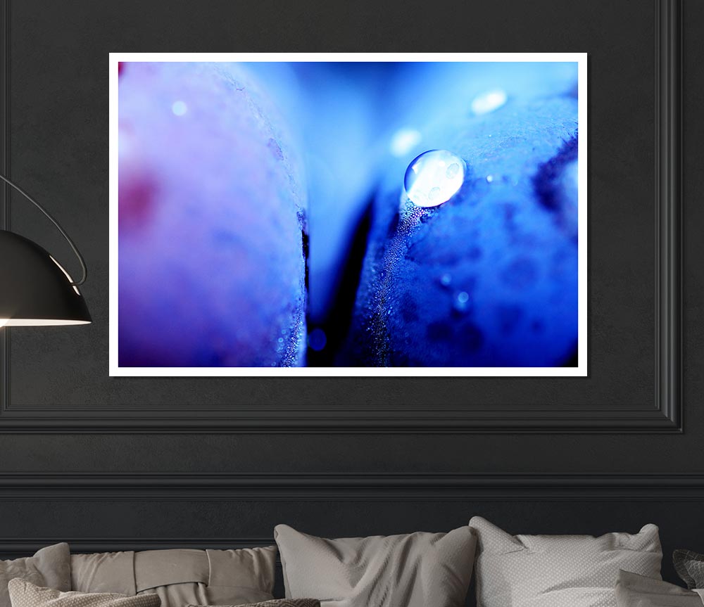 Blue Petal Water Droplet Print Poster Wall Art