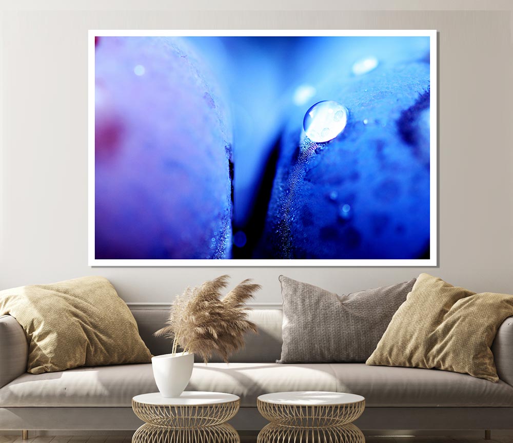 Blue Petal Water Droplet Print Poster Wall Art