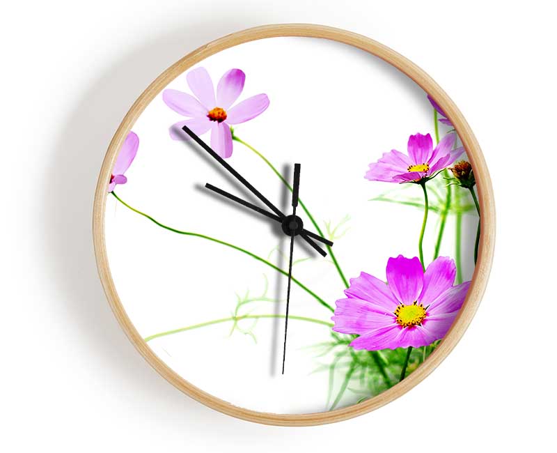 Pink Daisy Bloom Clock - Wallart-Direct UK