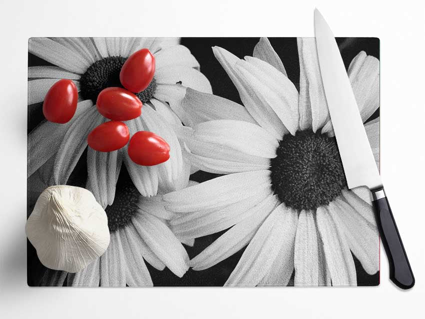 Daisy Petal Beauty B n W Glass Chopping Board