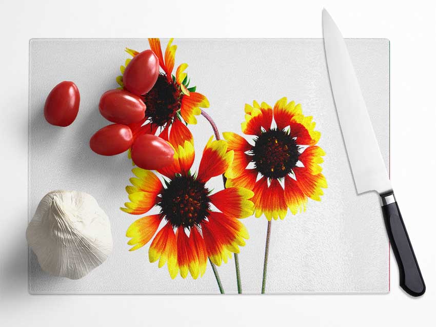 Sun Flower Trio Glass Chopping Board