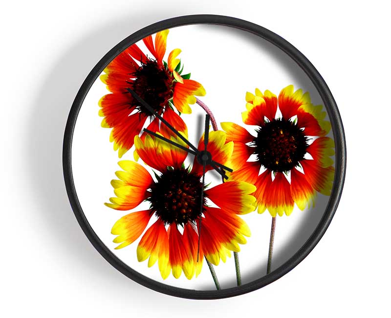 Sun Flower Trio Clock - Wallart-Direct UK