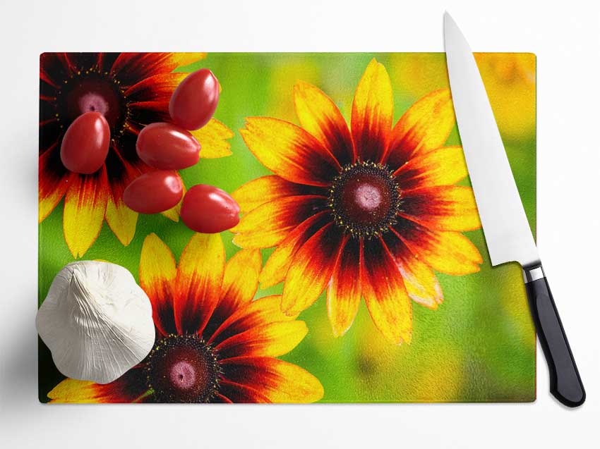 Sun Flower Garden Glass Chopping Board