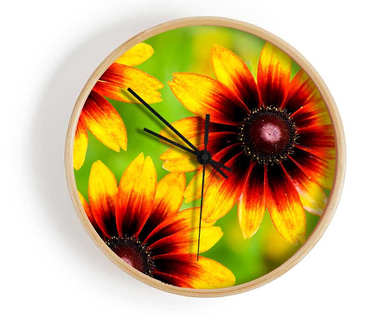 Sun Flower Garden Clock - Wallart-Direct UK